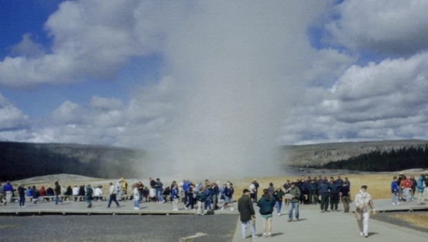 ynp old faithful