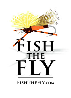 fish-the-fly