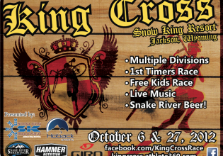 king_cross_poster