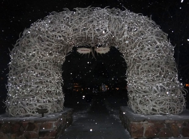 antler arch xmas