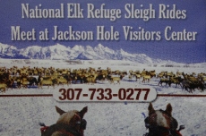 elk refuge sleigh ride jackson hole