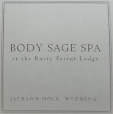 body sage spa widget