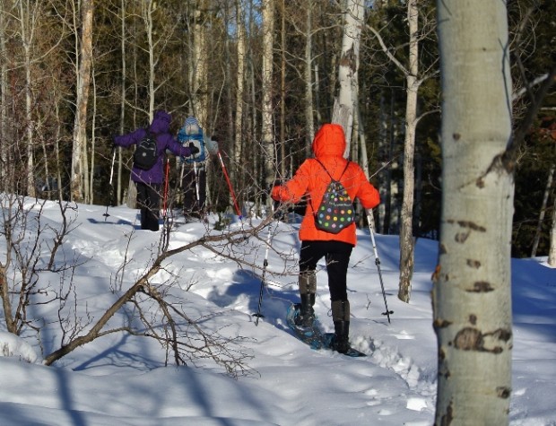 snowshoeing jackson hole grand teton national park