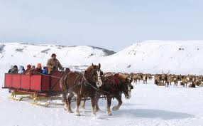 elk refuge