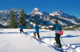 snowshoe jackson hole