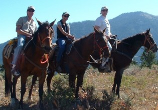 jackson hole horseback riding