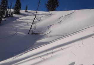 turkey day tracks