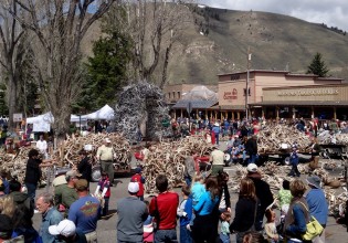 elk antler auction jacksonWY 1