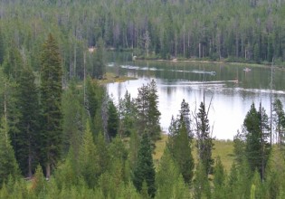 string lake grand teton national park