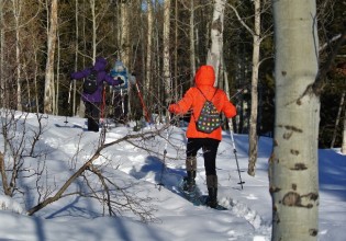 snowshoeing jackson hole grand teton national park