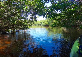 matlatcha-pass-aquatic-preserve-kayaking